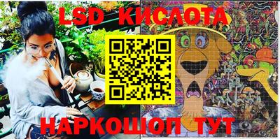 прущие крисы Бердск