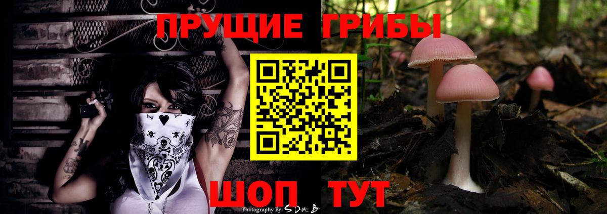 Галлюциногенные грибы ЛСД Астрахань